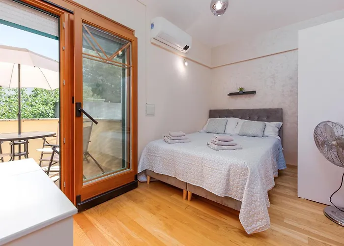 Pet Friendly In Apartamento *